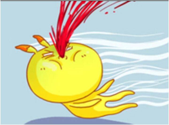 鍗锋瘺鐜板湪鎬庝箞鏍蜂簡,鎭跺績鐨勫嵎姣涚嫍