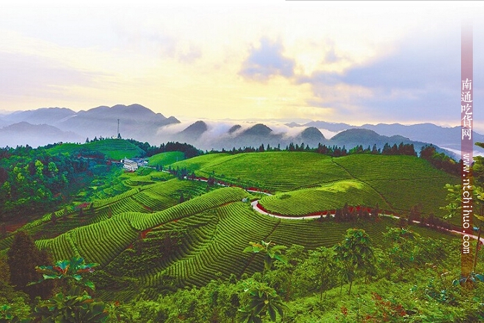 美国fda的副功能,美国fda基因治癌