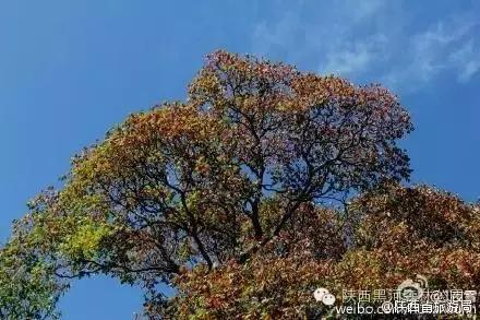 秦岭深处的周至老县城,探访周至名人