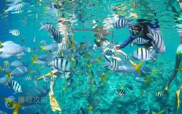 帕劳免签有必要去吗,帕劳对全世界免签吗