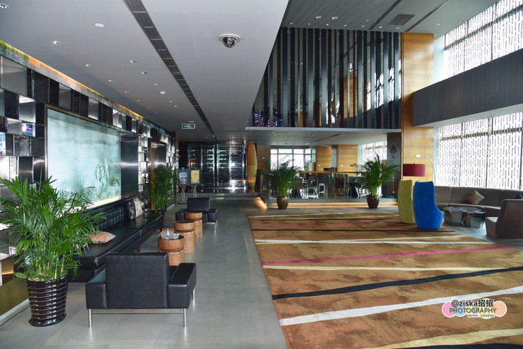 深圳美食广场推荐,深圳美食仙境打卡地