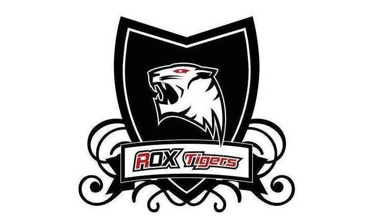 s6全球总决赛sktvsrox2打5,s6世界赛ssg和rox谁强