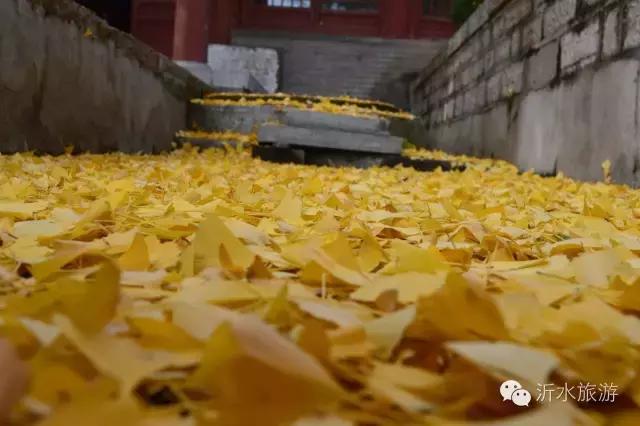 一个外地人眼中的菏泽,一个外地人眼中的文登