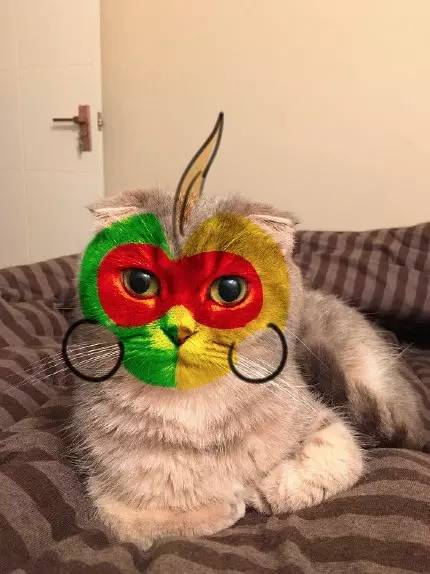 2016猴年春晚吉祥物,猴年春晚吉祥物