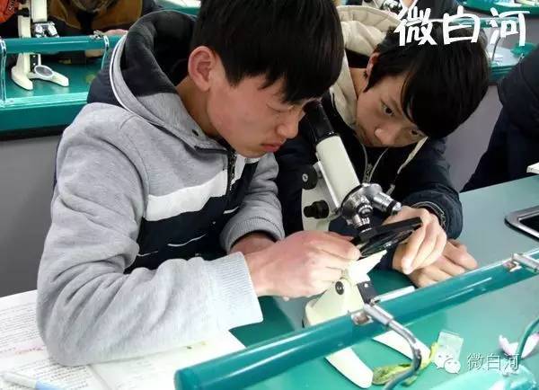 陕西白河县高级中学,白河高级中学是公办高中