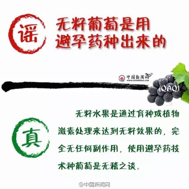 朋友圈一则谣言让农民血本无归！网传吃无核葡萄会绝育？真相在这里
