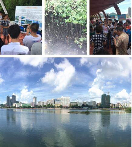 天涯网友感受“双修”“双城”惊人变化