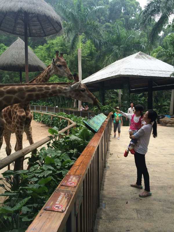 2017春节珠海广州长隆5日亲子游,广州珠海长隆五日游