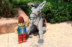 椹潵瑗夸簹鏂板北涔愰珮涔愬洯鏀荤暐,椹潵瑗夸簹鏂板北涔愰珮涔愬洯闄勮繎