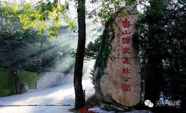 2022灞变笢鍚堟潙骞堕晣鍚嶅崟娣勫崥,2022灞变笢娣勫崥楂橀潚鍚堟潙骞堕晣鍚嶅崟