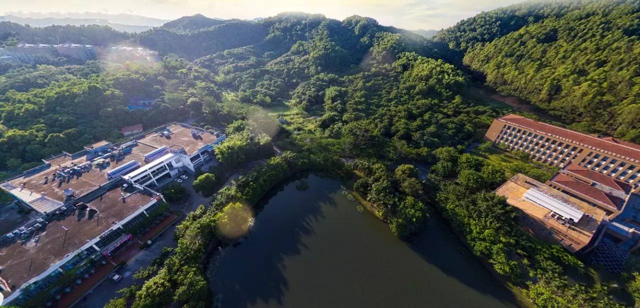 航拍北师|夏已息，秋风起。北师珠，我还是很喜欢你。