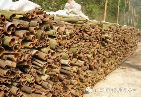 骄傲中国读完后的感悟,广西真的有这么牛吗