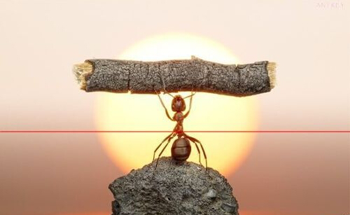 简历封面怎么制作步骤,如何做简历封面