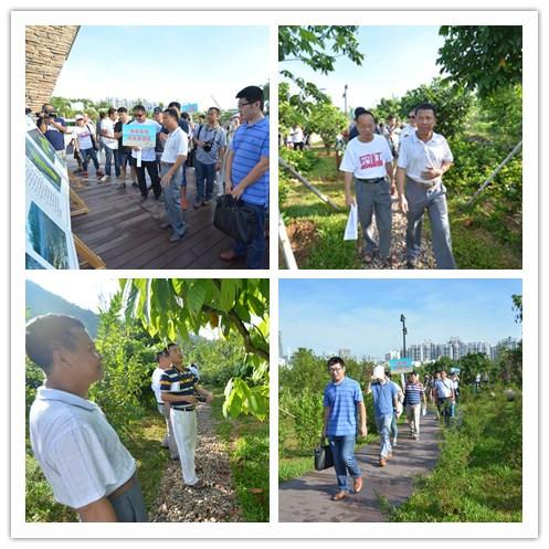 天涯网友感受“双修”“双城”惊人变化