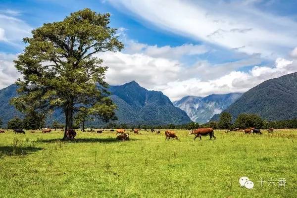 随手一拍都是一个风景视频,随手一拍就是一幅油画