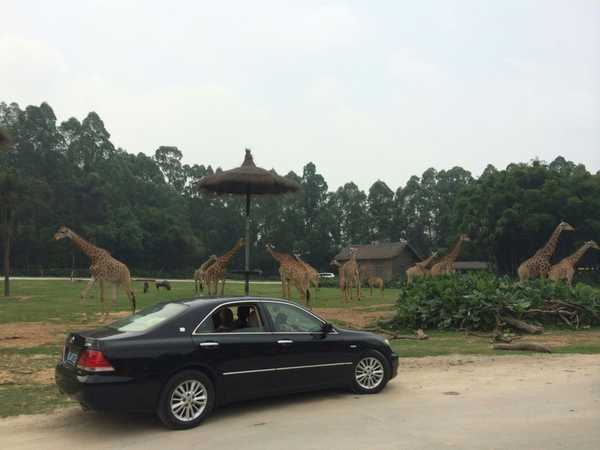 2017春节珠海广州长隆5日亲子游,广州珠海长隆五日游