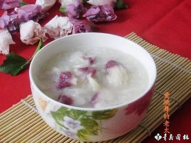 倔强的木槿花,温柔的木槿花