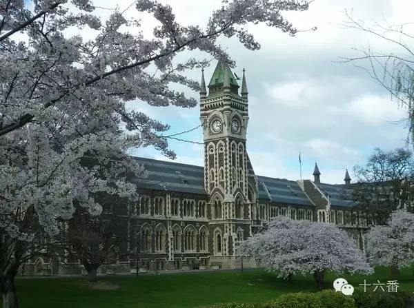 随手一拍都是一个风景视频,随手一拍就是一幅油画