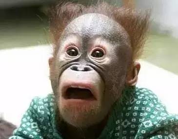 兴义82路公交车明天限不限行,兴义市最新公交车调整