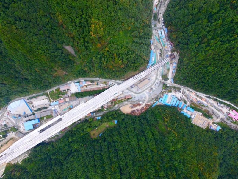 郑徐高铁刚通车！从现在起，咱西安人民还能够憧憬未来的周末成都两日慢生活啦！