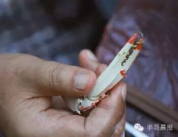 中秋合适吃大闸蟹么,中秋前要吃大闸蟹吗