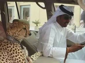 迪拜落地签与旅游签区别,迪拜旅游落地签2023