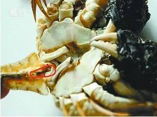 中秋合适吃大闸蟹么,中秋前要吃大闸蟹吗