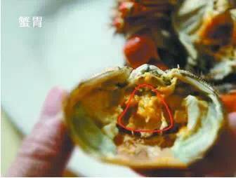 中秋合适吃大闸蟹么,中秋前要吃大闸蟹吗