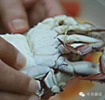 中秋合适吃大闸蟹么,中秋前要吃大闸蟹吗