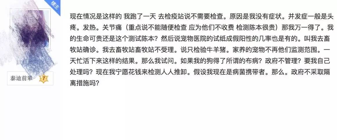 别让试纸草率地夺去猫狗的命！