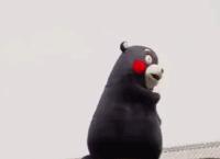 熊本熊发展历程,为什么是熊本熊