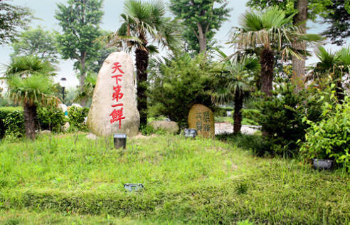 26个英文字母带你看懂我们大如东！