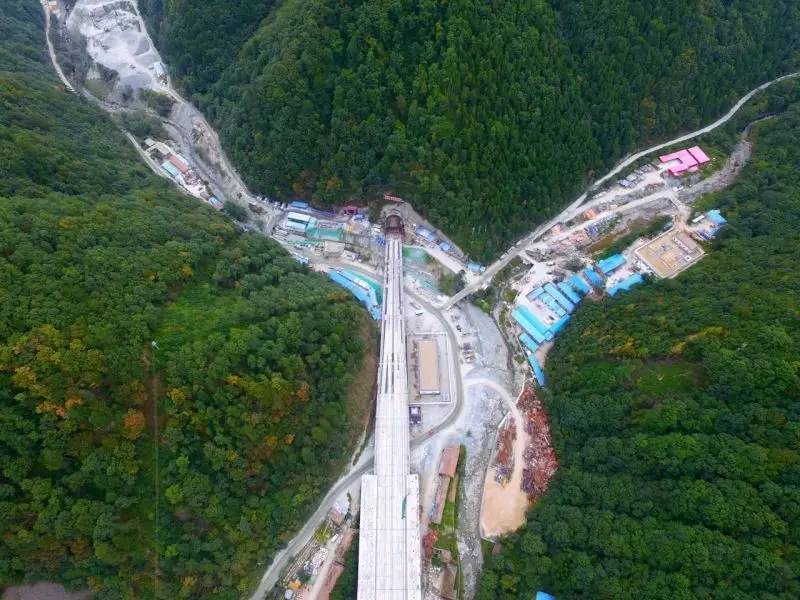 郑徐高铁刚通车！从现在起，咱西安人民还能够憧憬未来的周末成都两日慢生活啦！