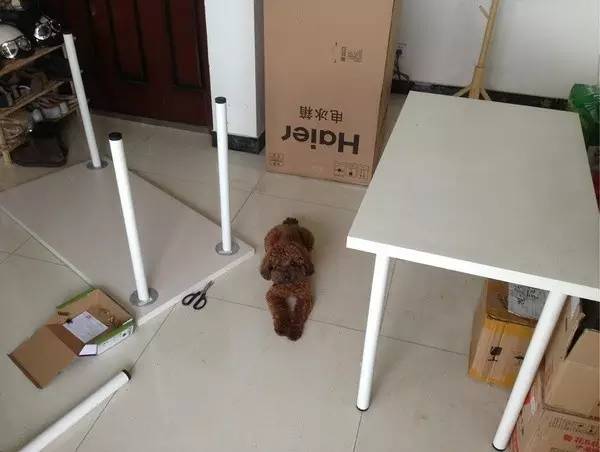 从出租屋搬到自己已经住过的家,从出租房搬到新家视频