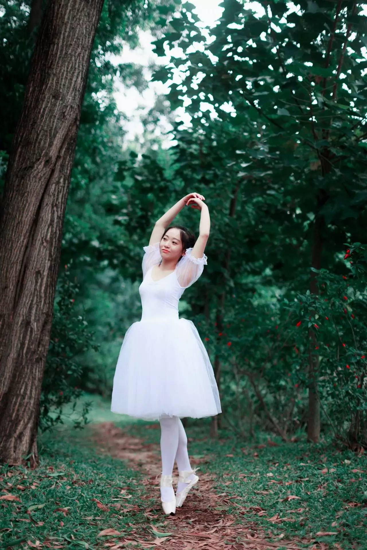 今日摄影师推荐｜未羊NAUIL