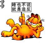 就让加菲毁掉你的中秋吧喵哈哈哈