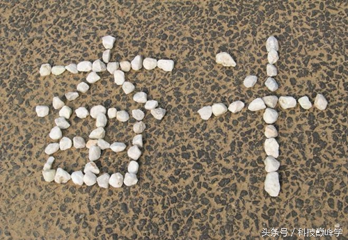 老鸟创业新模式,网络创业老鸟