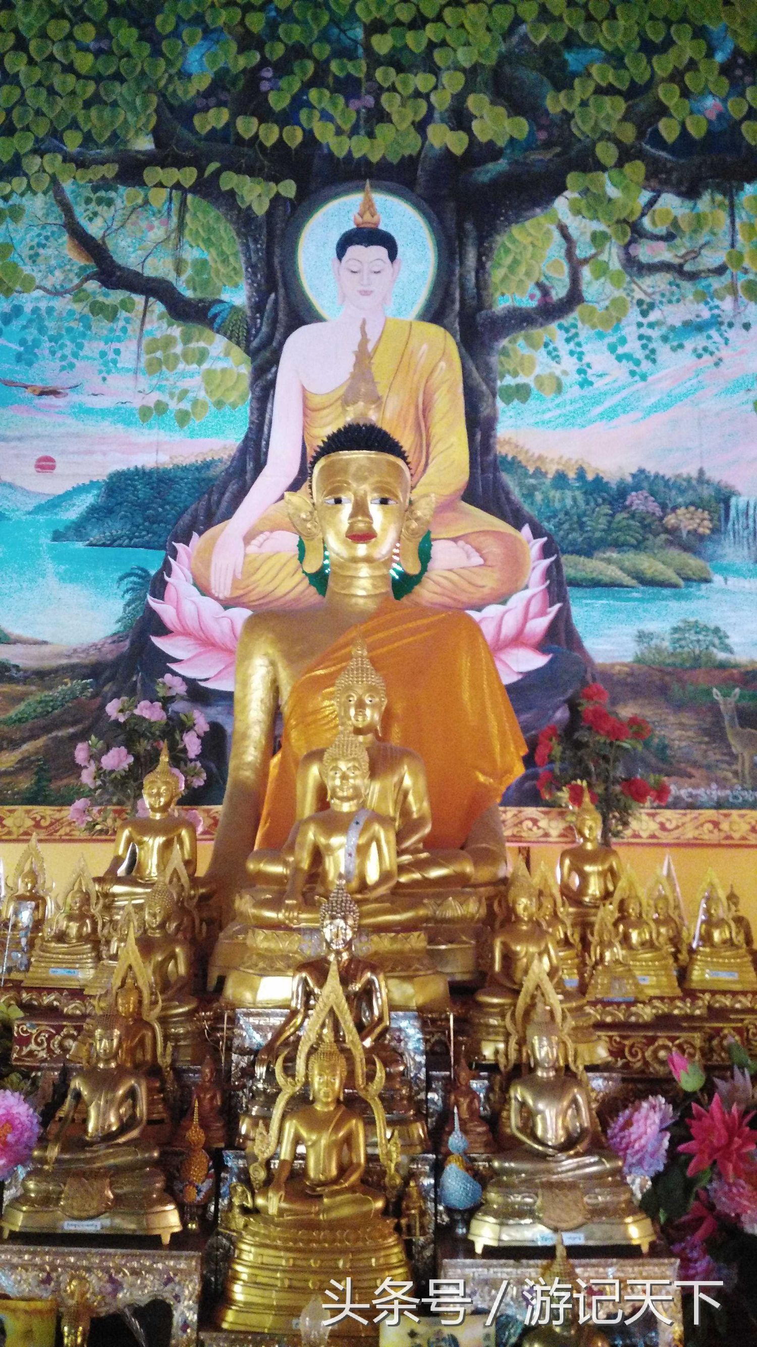 西双版纳深度游,西双版纳傣族园旅游攻略