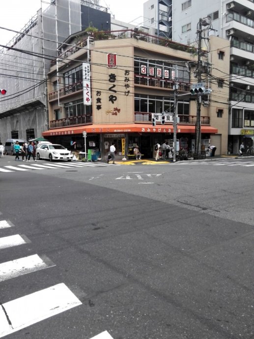 日本东京的城市特点,日本东京被称为什么