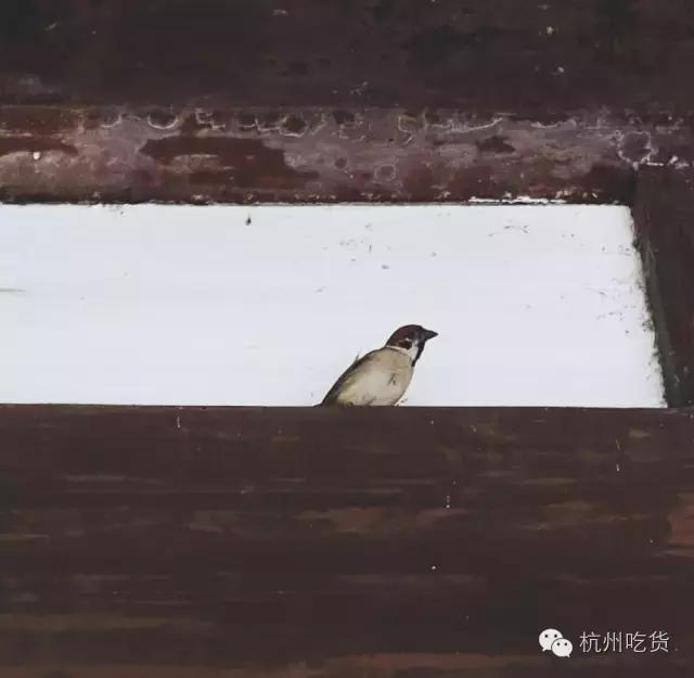 鏄熷反鍏嬩笢鍧¤倝,鏄熷反鍏嬩笢鍧¤倝鎷块搧