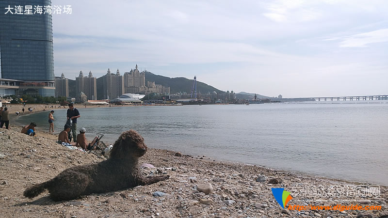 大王叫我来“巡街”：大连星海广场、星海公园、黑石礁