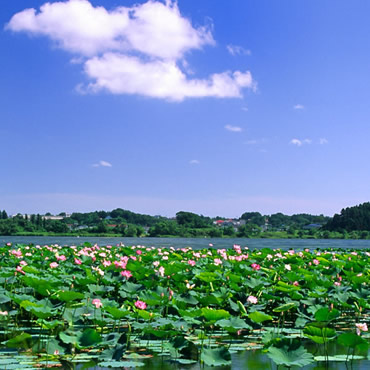 京津冀旅游攻略景点推荐,京津冀附近旅游景点推荐