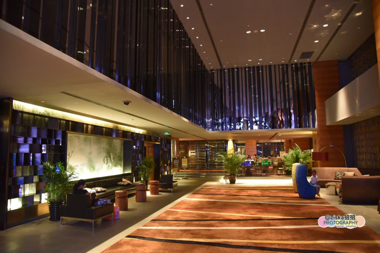 深圳美食广场推荐,深圳美食仙境打卡地