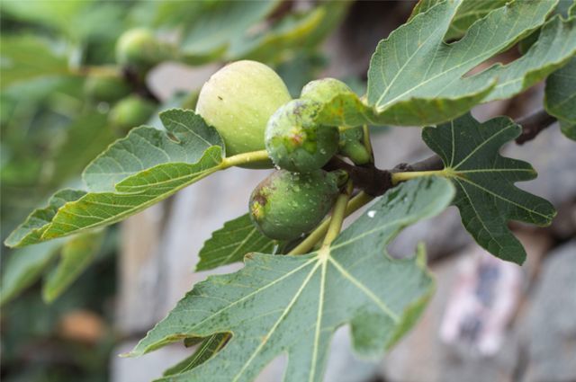 你从未到达的地方才叫远方,你未到达的地方早已车水马龙