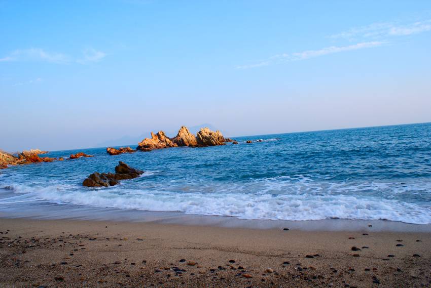 国庆带狗狗合适去哪玩,国庆狗狗出去浪