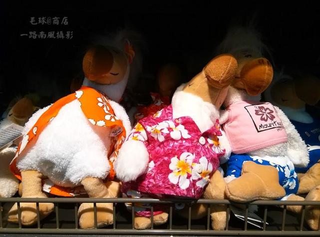 毛里求斯春节攻略,毛里求斯岛旅游的最佳季节