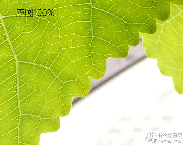 吐槽红米手表watch4,吐槽红米4手表表盘