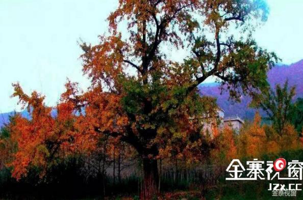 大别山中大金寨，这23个乡镇貌美如花，十一你不来？