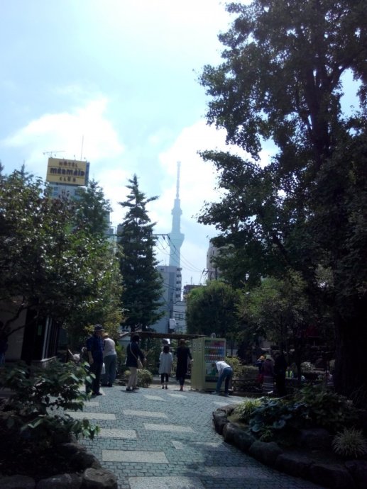 日本东京的城市特点,日本东京被称为什么