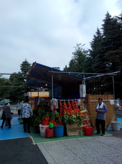 日本东京的城市特点,日本东京被称为什么